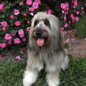 Fundraising Page: Rodney VanSickle